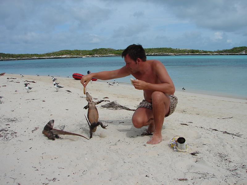 23_05_06 047.jpg - Allens Cay und Iguanas füttern. Die können vielleicht rennen...